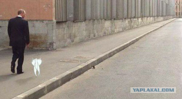 Рейтинг доверия Путину