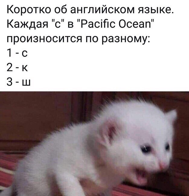 Прикольные комментарии и высказывания из Сети
