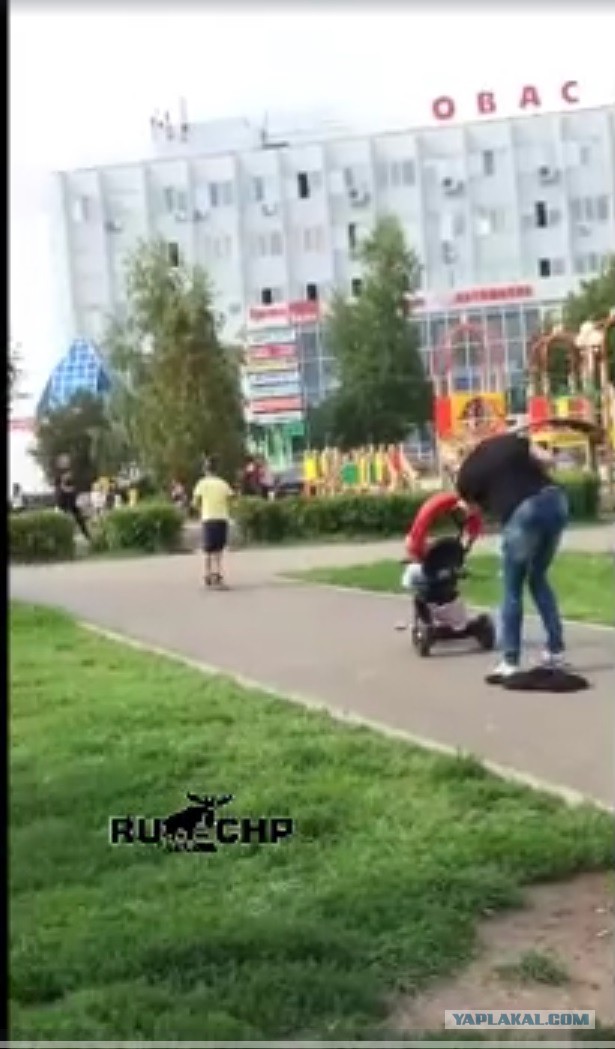 Дама с собачкой против скейтеров