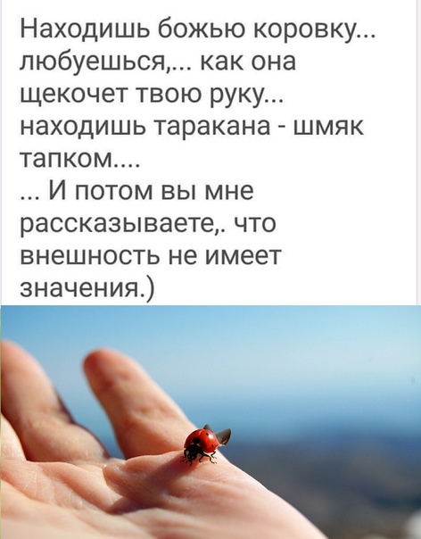 Немного картинок для настроения 19.10.19