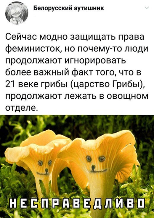 Забавные шутки, картинки и фразы из этих ваших интернетов