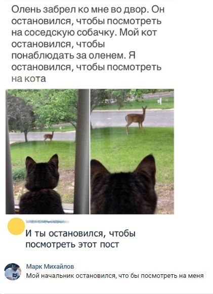 Калейдоскоп Картинок