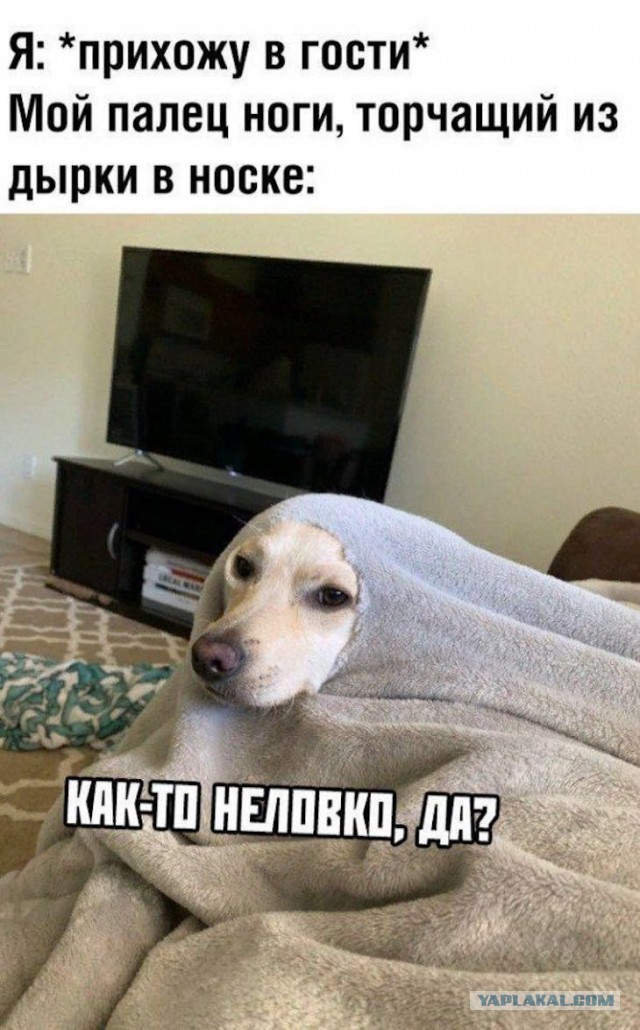 Немного картинок для настроения 25.01.20