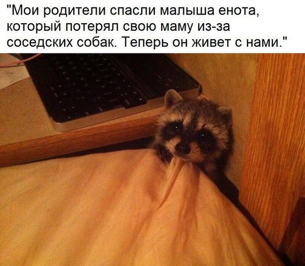 Чуток картинок. 02.02.20