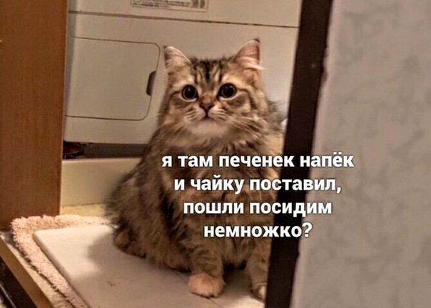 Немного картинок для настроения 25.05.20