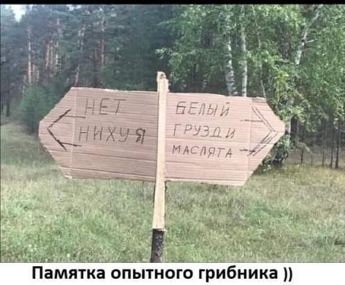Бредзона 15.09.2020