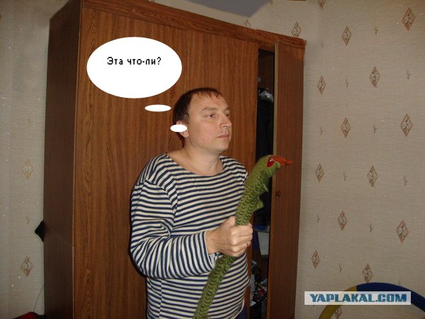 Правнук лейтенанта Шмидта