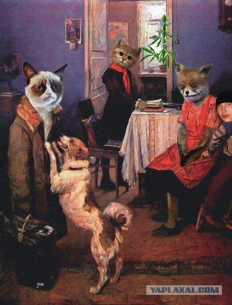 Таксидермия + наркомания