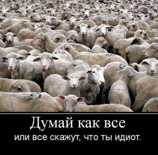 А нужно ли нам вообще Евровидение?