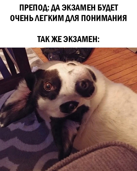 Весёлый полтишок 1.04