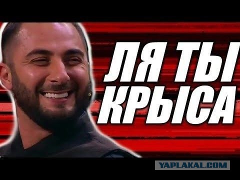 Никакого уважения к виду животных