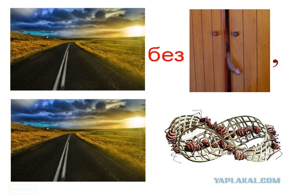 Ребусы