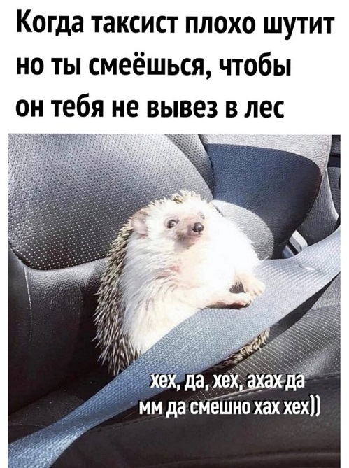35 картинок разных 29.07.2021