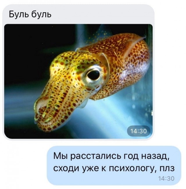 Картинки и мемы для настроения 02.08.2021
