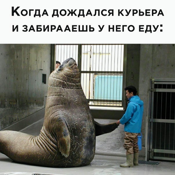 Картинки и мемы для настроения 30.09.2021