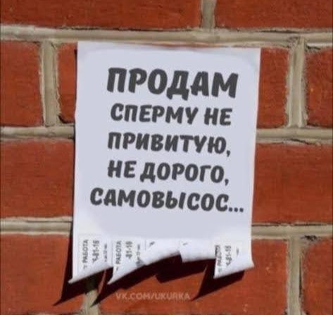 Картинки и мемы для настроения 03.11.2021