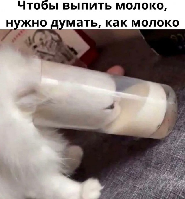 Картинки всяческие 10.01.2022