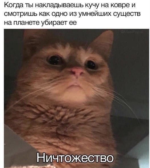 Весёлые картинки 13.04.2022