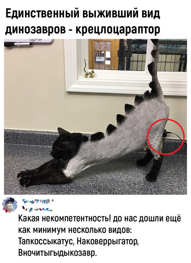 Так себе картинки 09.05.22