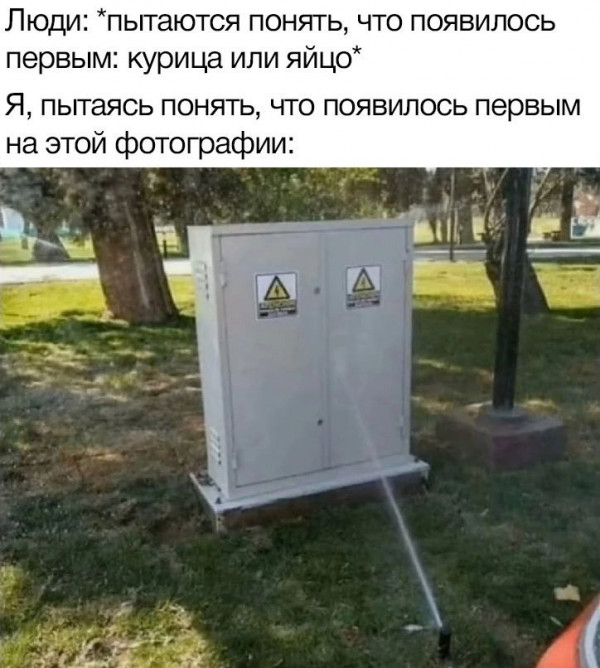 Картинки и мемы для настроения - 17