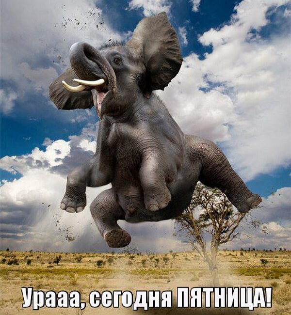 ПяТниЦо - пора расслабиться!