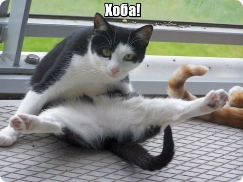 Четверг, который ПяТниЦоО!