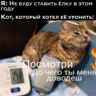 Картинки и мемы для настроения - 133