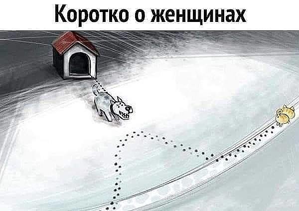 Юмор в картинках и без 16.02.2023