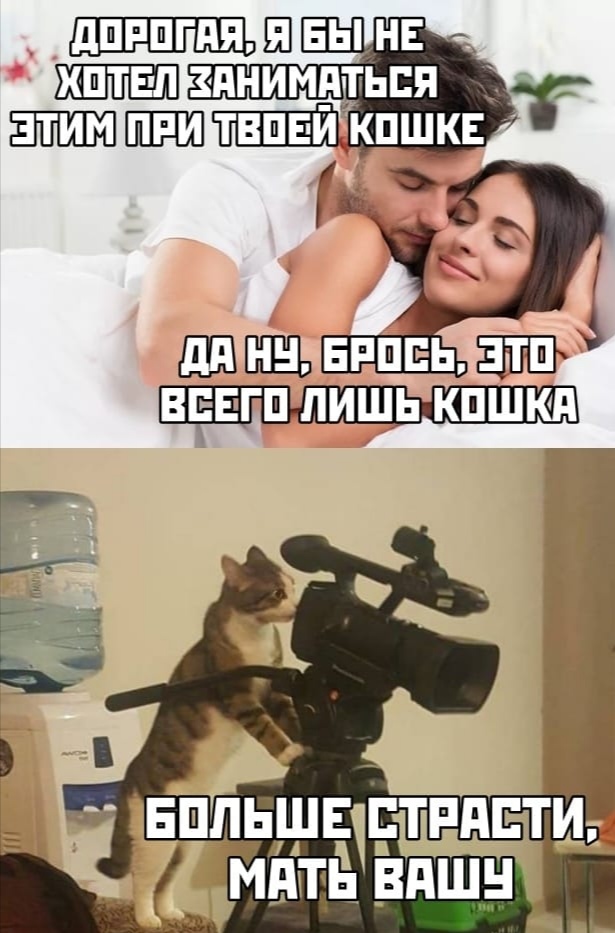 Одна пикча
