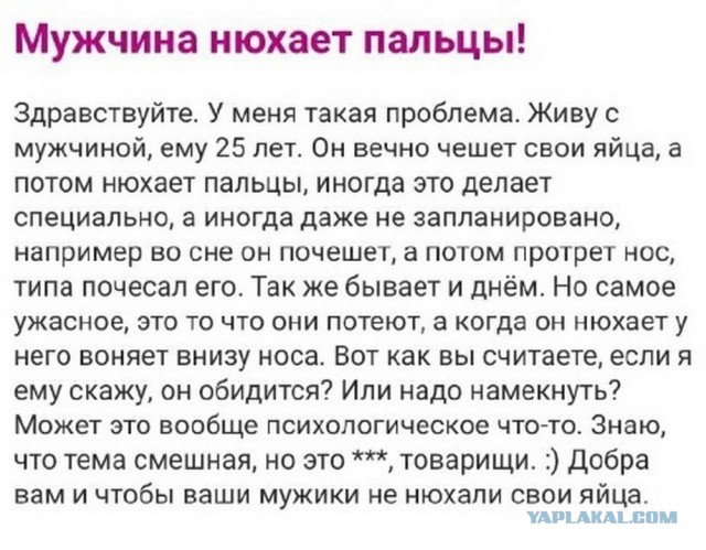 Подборка картинок 10.04.2023