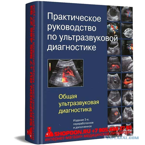 Красноярский детсад лишился самой горячей заведующей — её уволили после публикаций в СМИ