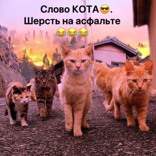 Пиар пошёл не по плану: как в соцсетях возненавидели "Слово пацана"