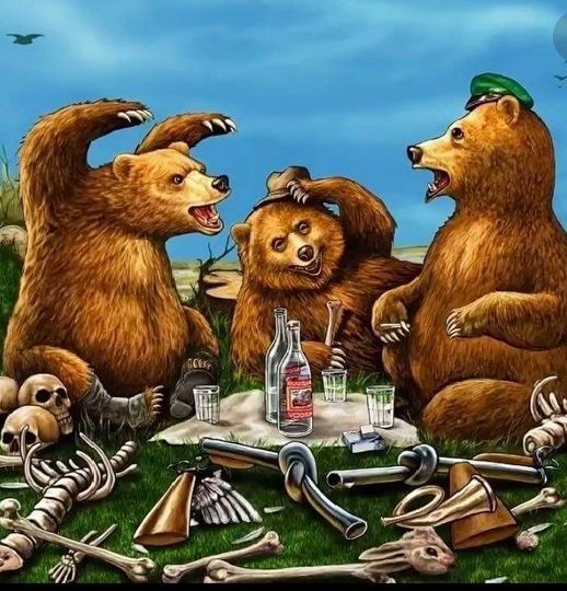 10 любопытных фактов о манулах, которых вы не знали