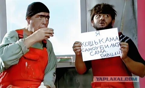Проводнице, высадившей кота из поезда, грозит три года колонии