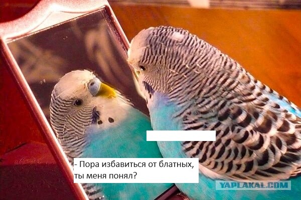 Нет слов!