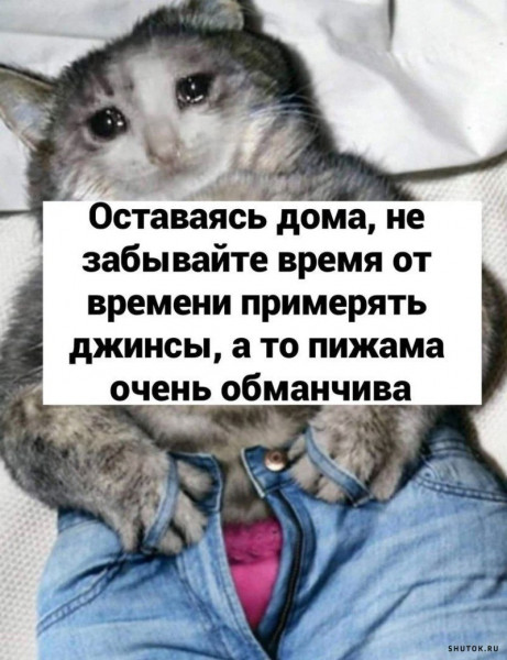 Так себе картинки 04.09.24