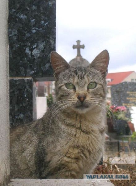 Единственная проблема атеизма