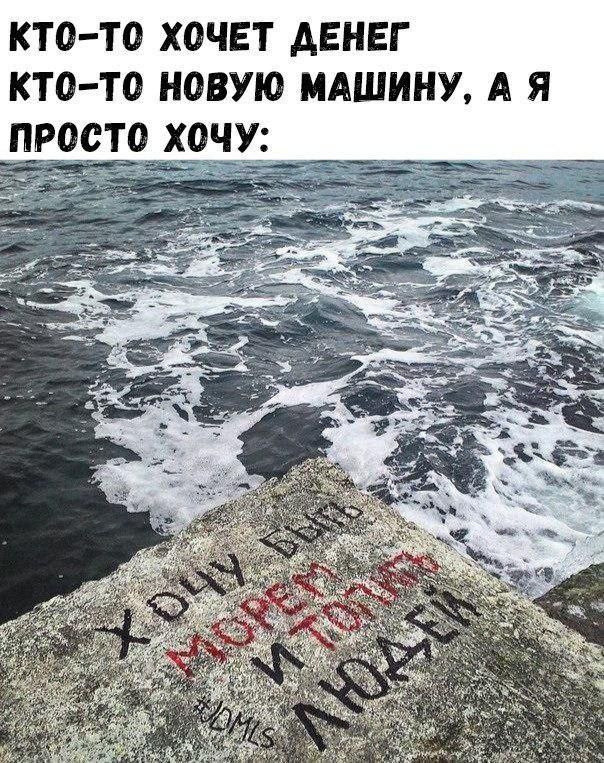 Весёлый полтишок 29.10.24