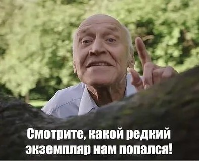 Таких брачных игрищ вы ещё не видели - раз*бали апартаменты