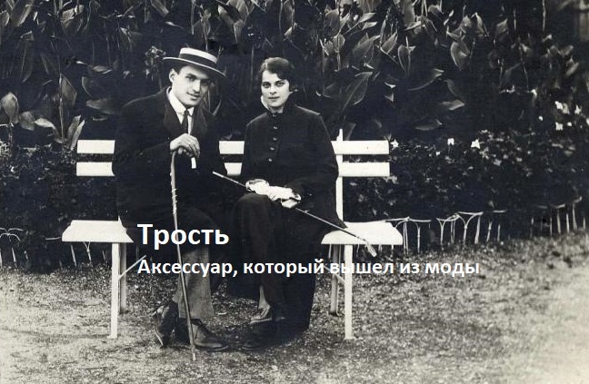 Трость