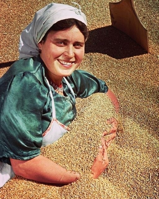 Ностальгия по работящим женщинам