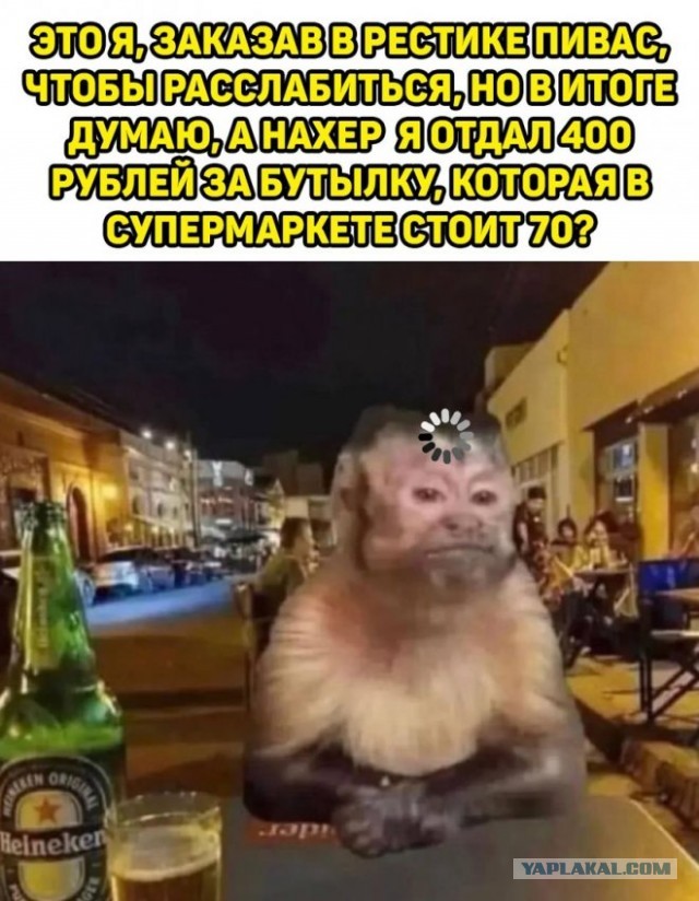 Веселые картинки в среду (практически в пятницу) (07.05)