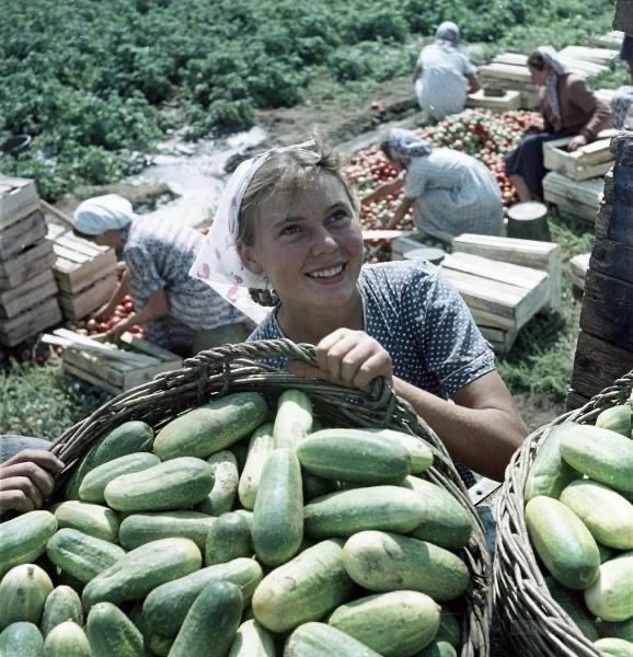 ​ Фотографии из прошлого нашей страны – 105