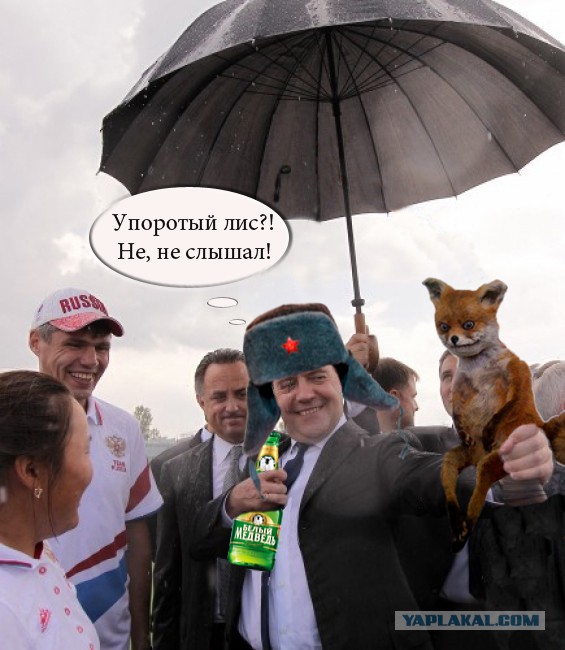Стрелок