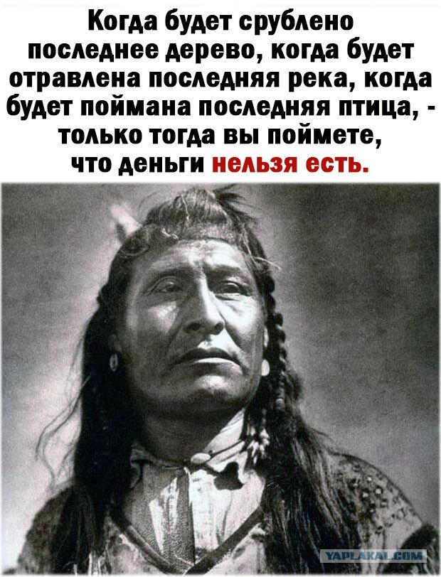 Трудовые будни сахалинских браканьеров