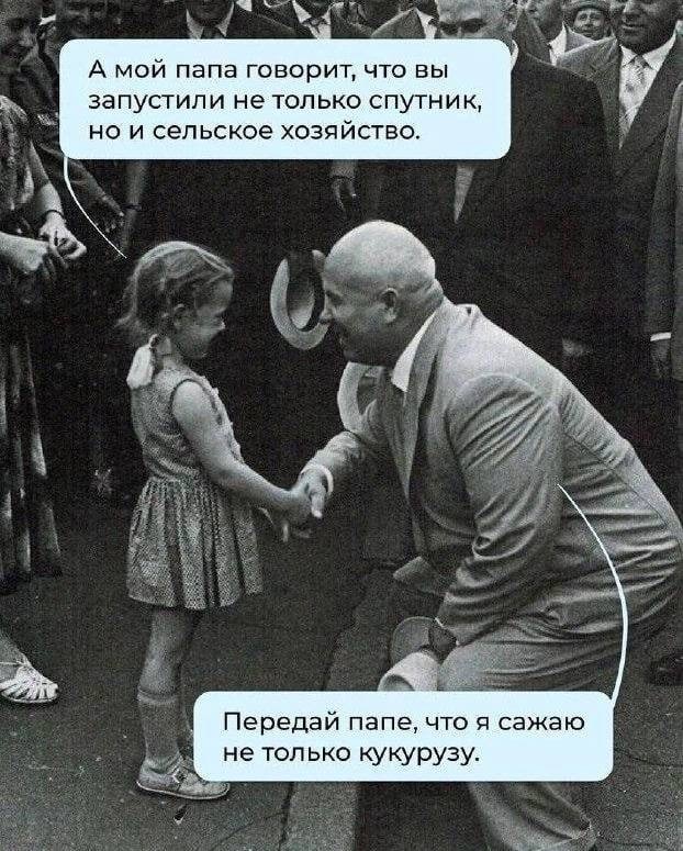 Так себе картинки 29.07.25