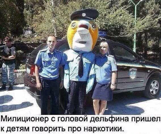 Так себе картинки 13.08.25