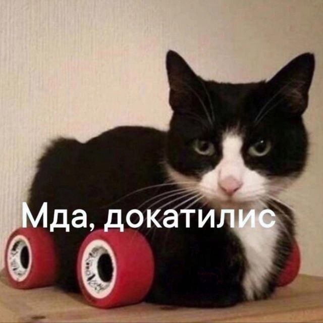 Субботние картинки