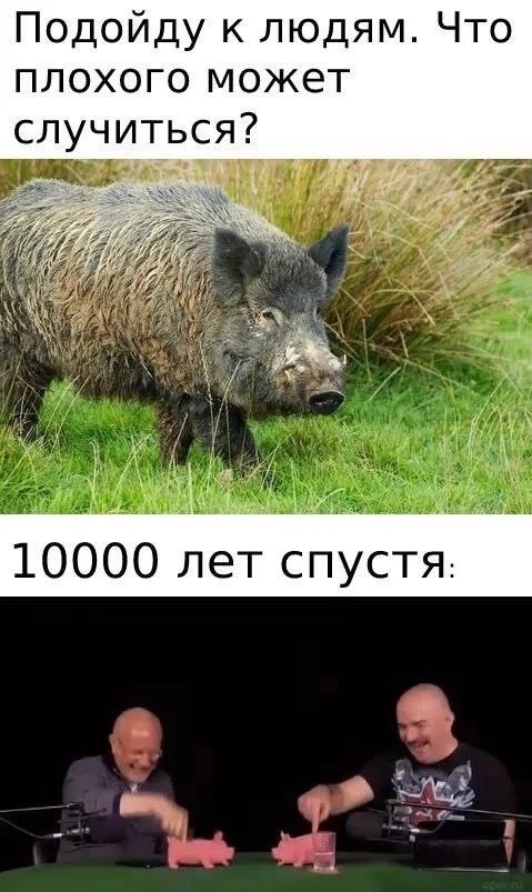 Субботние картинки