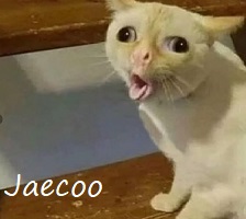 На рынок РФ выходит новый кроссовер Jaecoo J6. Цена изделия в базе - 2 290 000 рублей